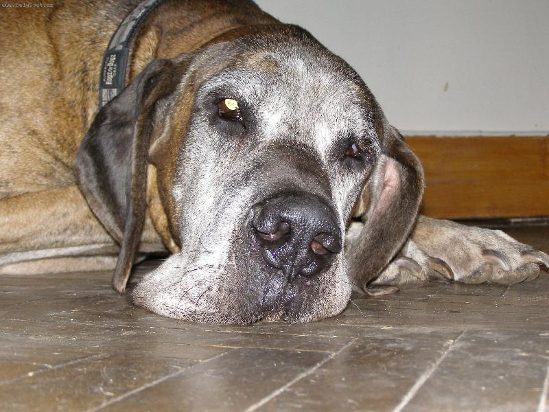 Foto: Caky u Rychlého ďábla