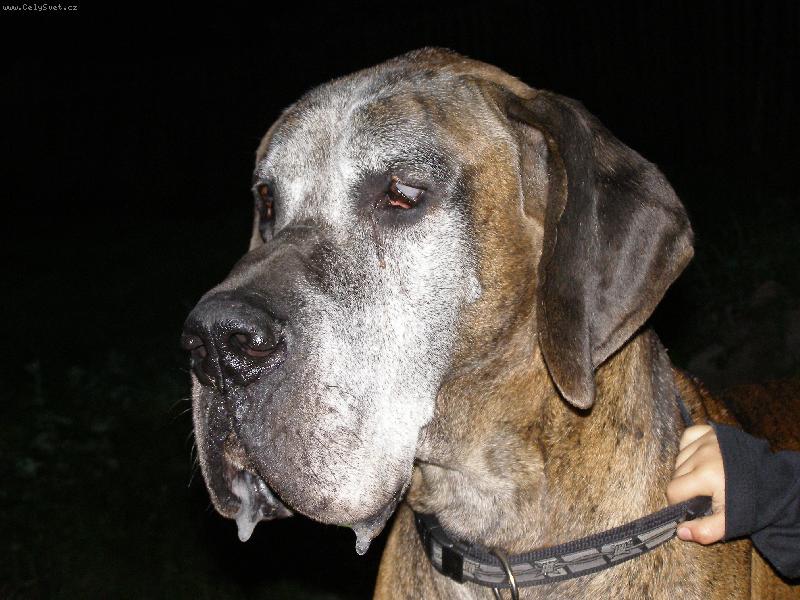 Foto: Caky u Rychlého ďábla