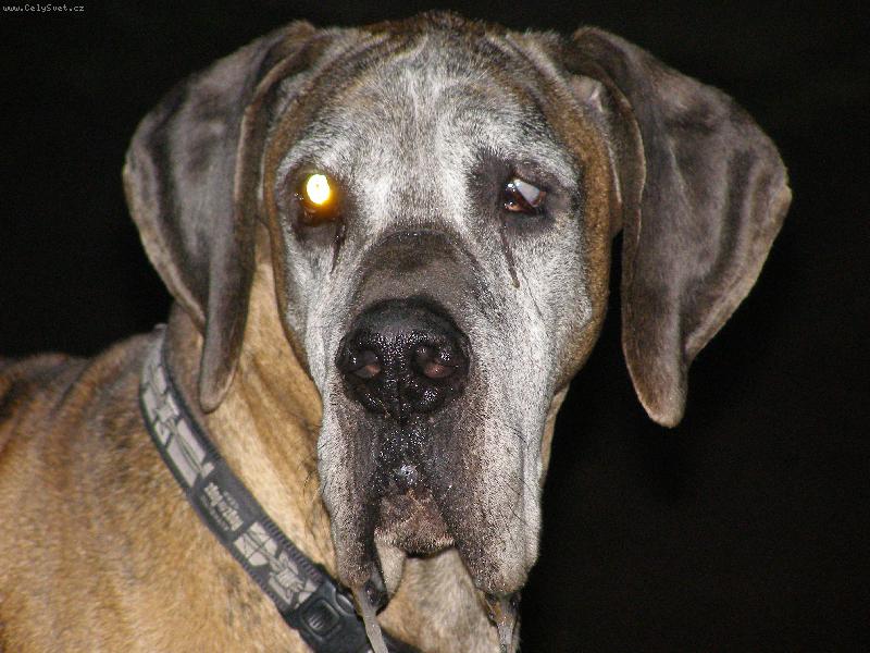 Foto: Caky u Rychlého ďábla