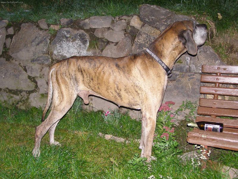 Foto: Caky u Rychlého ďábla