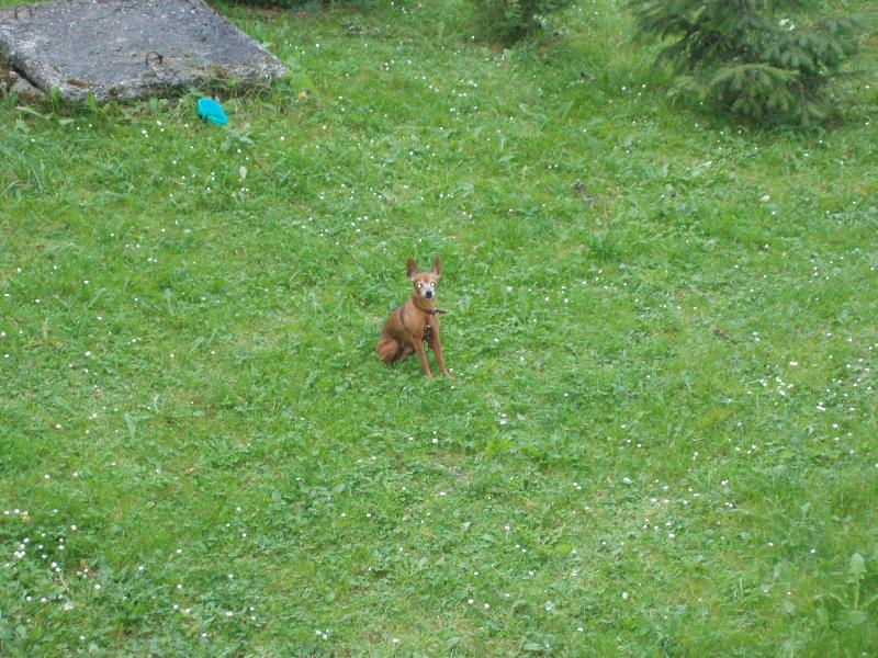 Foto: náš herec-miláček Adinko