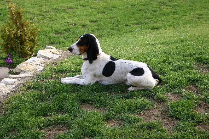 Foto: Enrico Lady Barnett´s