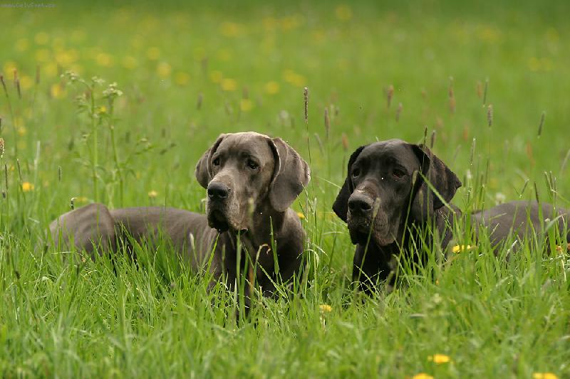 Foto: Aneta a Ennia-odložení