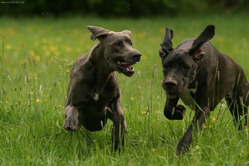 Foto: Aneta a Ennia-Já tam budu první!