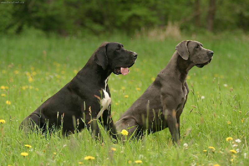 Foto: Aneta a Ennia-čekáme.......