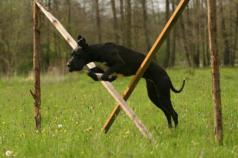 Foto: Aneta a Ennia-tady skáčou moje kámošky kobylky, ale to já umím taky