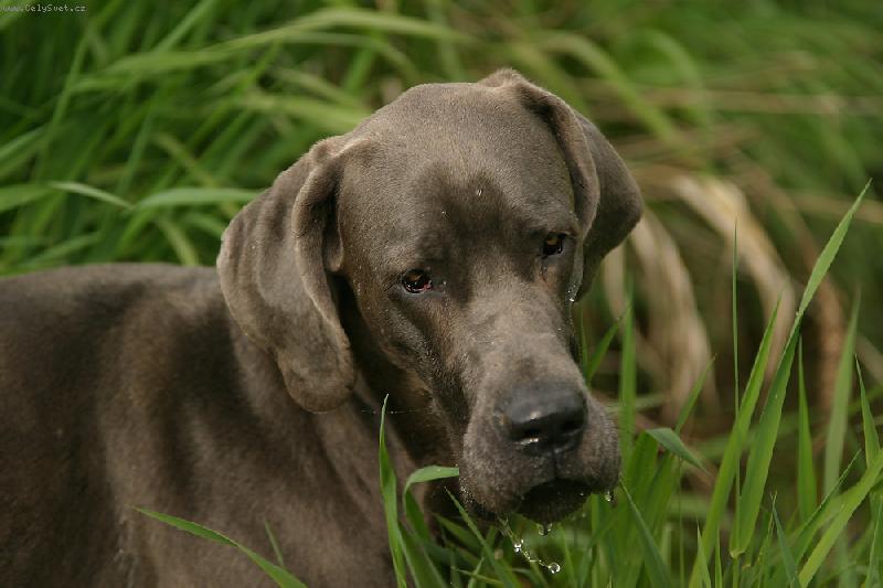 Foto: Ennia-trochu osvěžení neuškodí