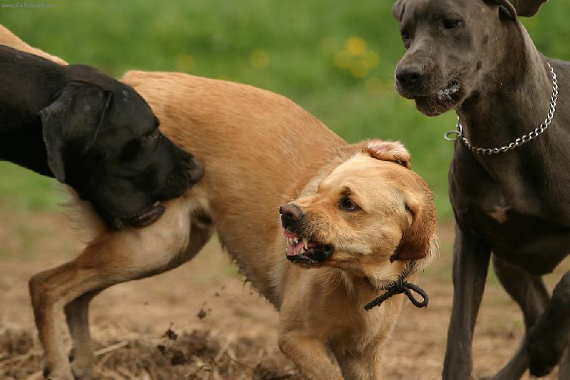 Foto: Aneta a Ennia-Jsme na tebe dvě!