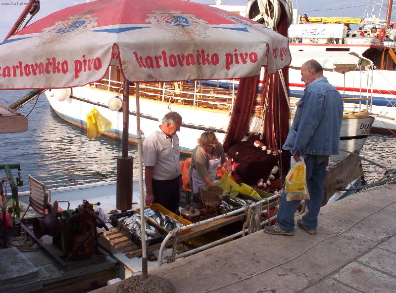 Foto: prodej úlovku-při prohlídce přístavu