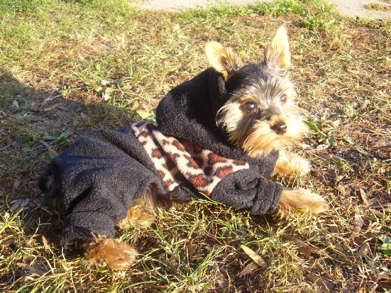 Foto: podzimní obleček...sluší mi to že?:-)