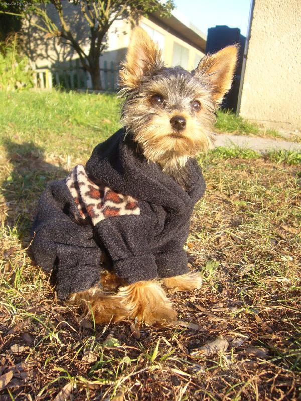 Foto: a ještě jednou v sedě....