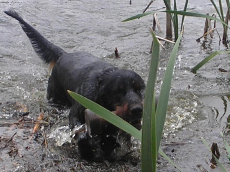 Foto: Dastin DAMA Krkonoše-aport z vody