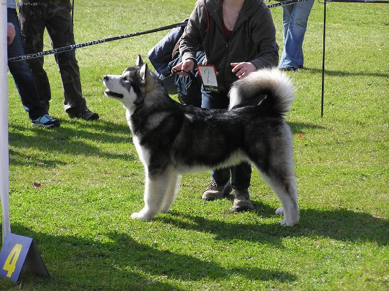 Foto: Rasta - man Shamanrock-půlroční miminko