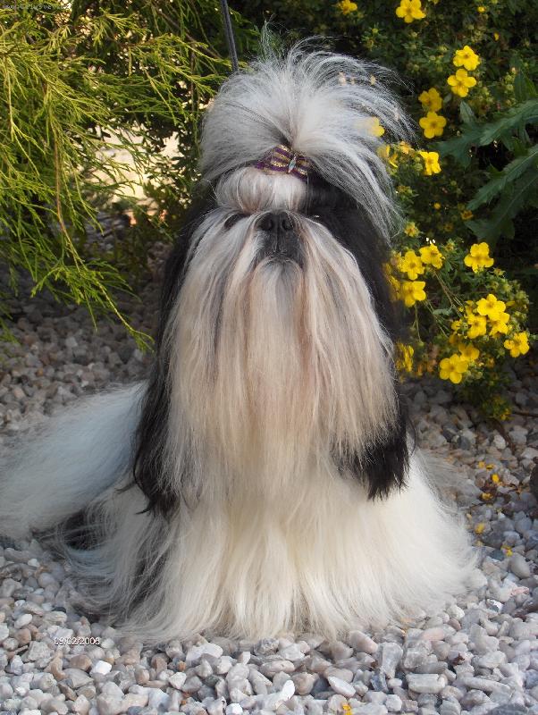 Foto: Ivánek z Ivafre