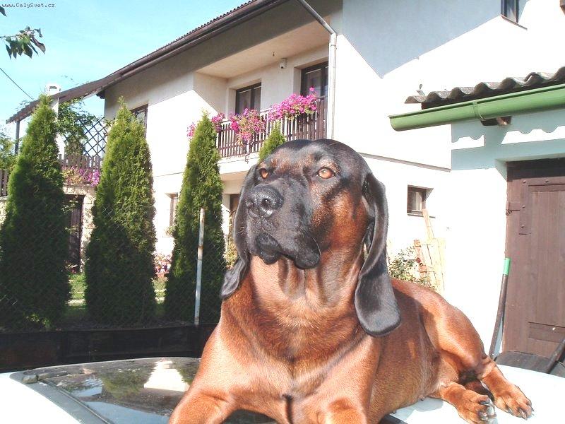 Foto: tady bydlím já