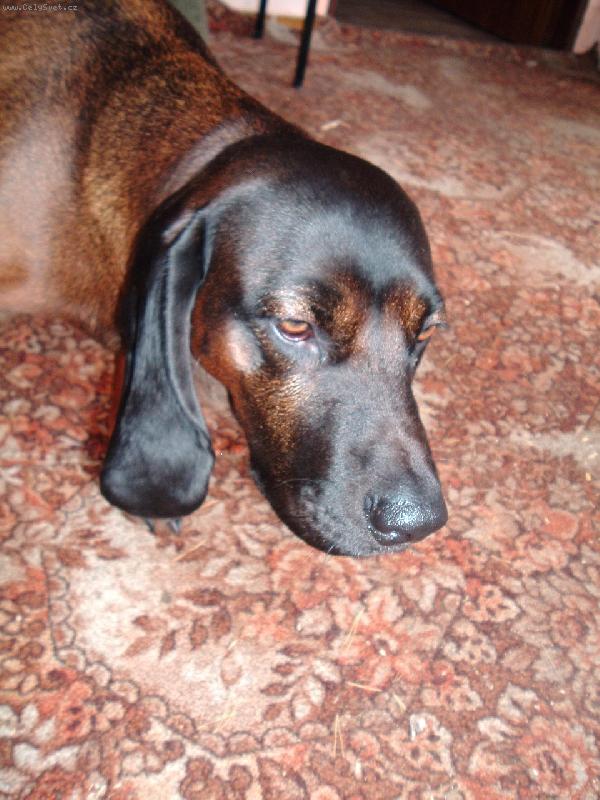 Foto: chci se seznámit