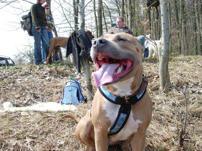 Foto: Daydream Fantasy Amazonka-Day a její úsměv...