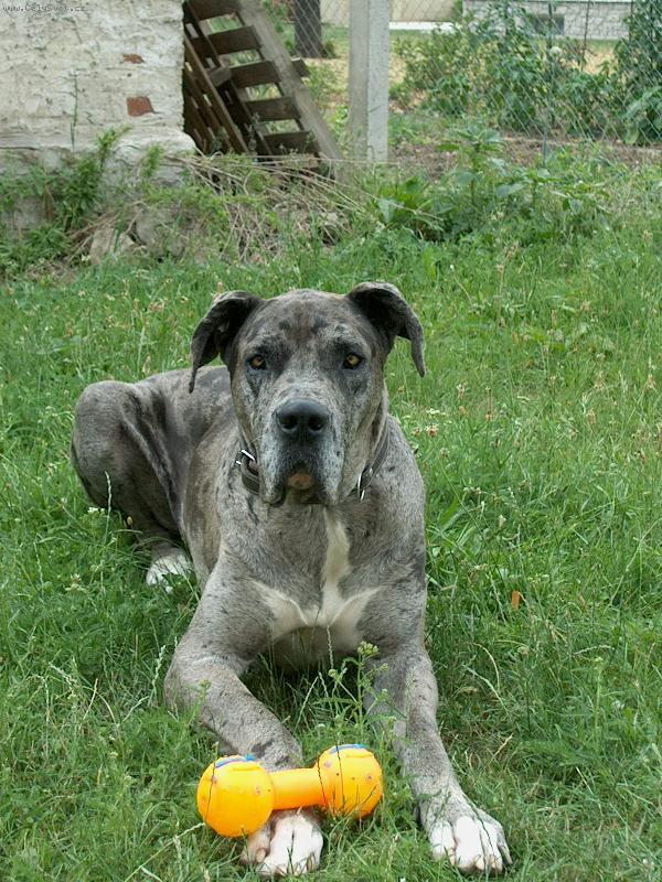 Foto: Nuflík-3 roky