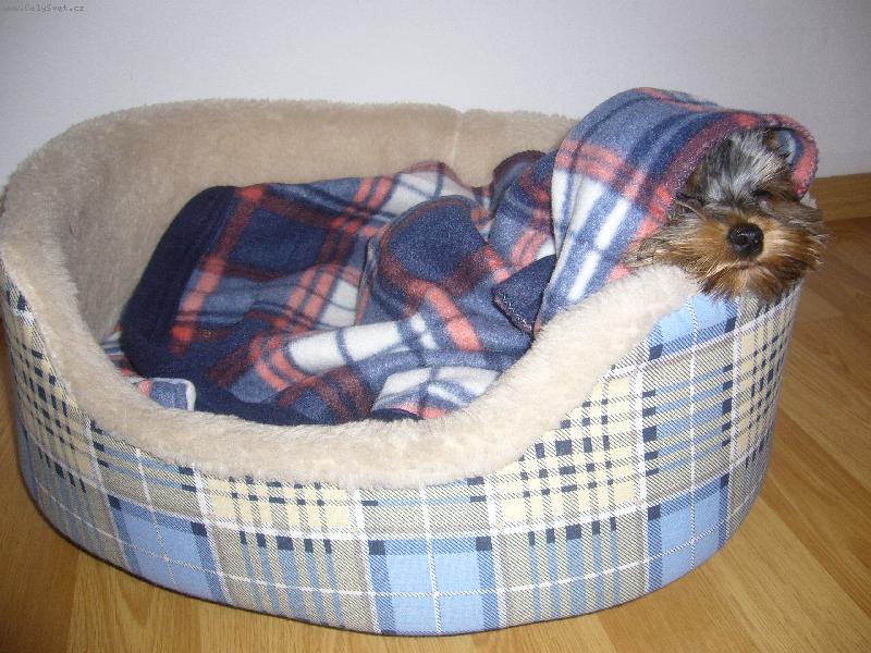 Foto: spinkám-nerušit!!!!