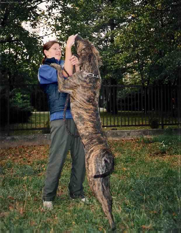 Foto: Baja Ořechovská skála-chovatelská stanice From Vampires Blood