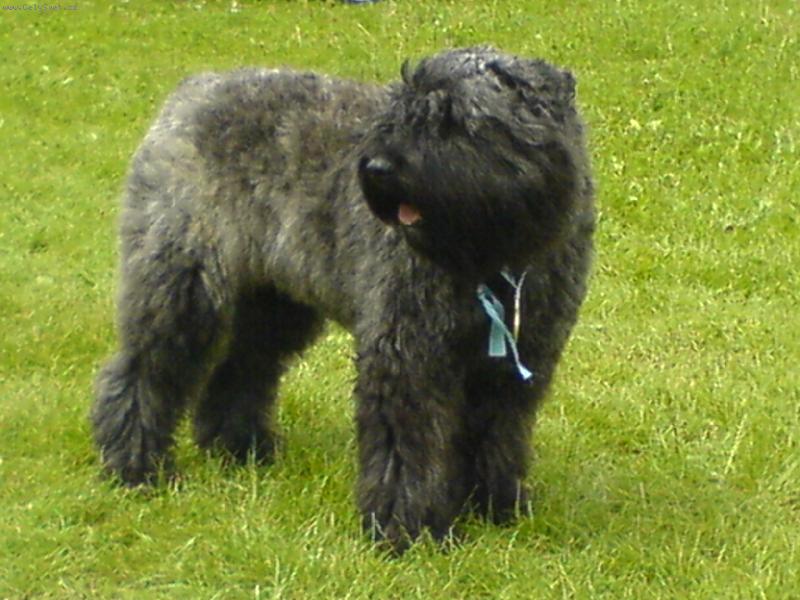 Foto: Anabel Kostelečák