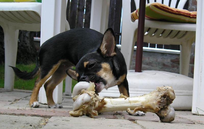 Foto: Lilly a malá svačinka :-)