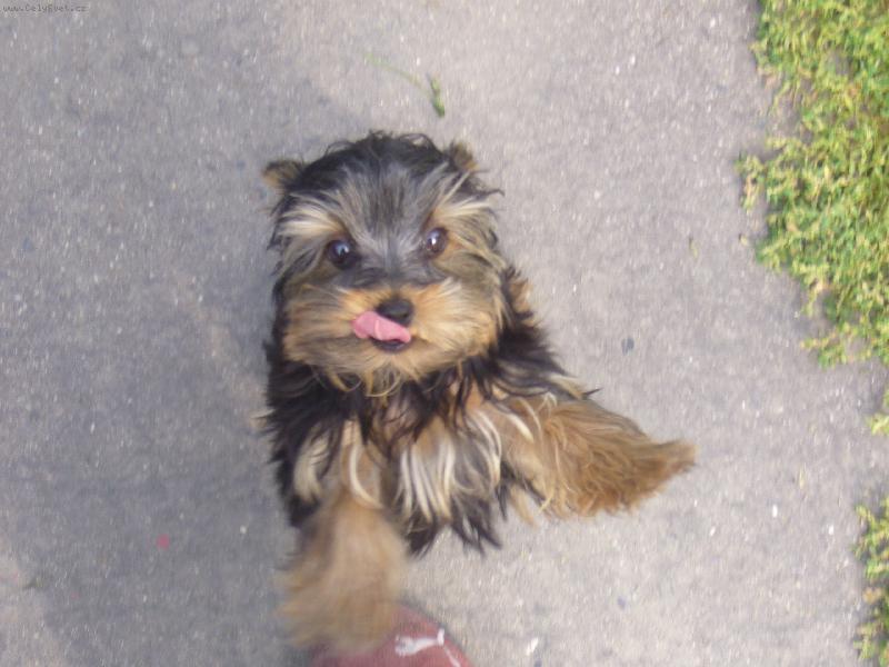 Foto: dej mi nějakou dobrůtku!!!