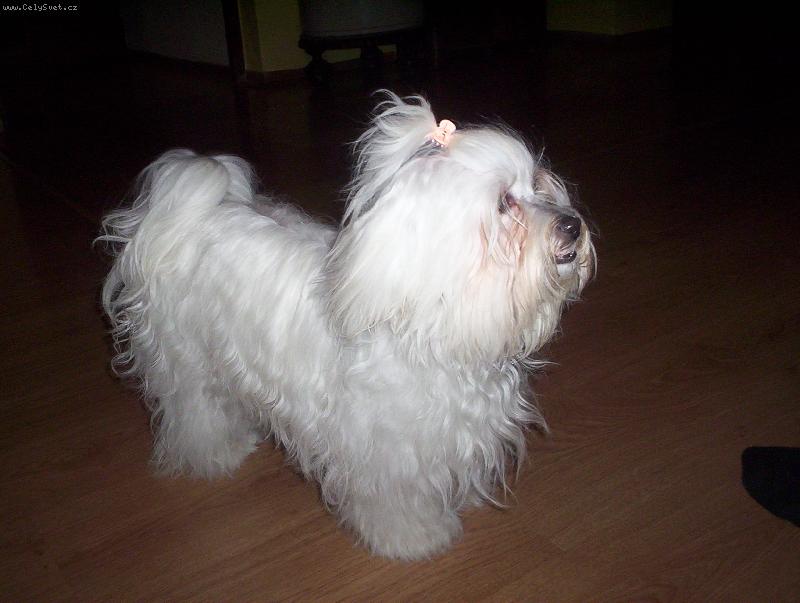 Foto: Moje láska.........Deli