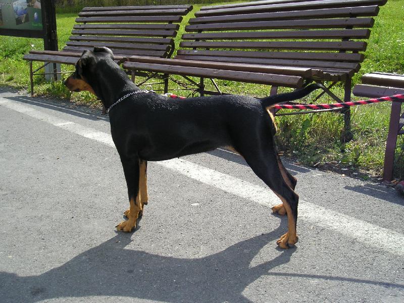 Foto: Někdy se nám povede se krásně vystavovat, ale to jen když nejsme na výstavě