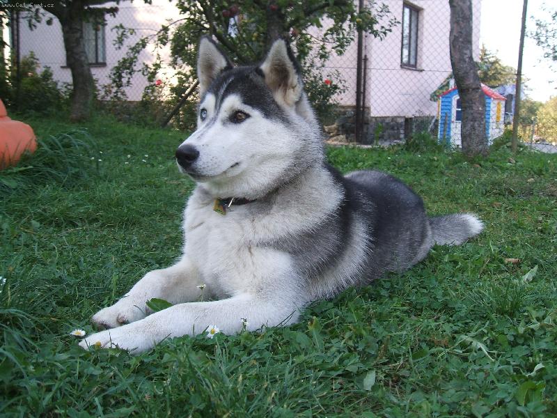 Foto: Naty Jednička-konečně v klidu