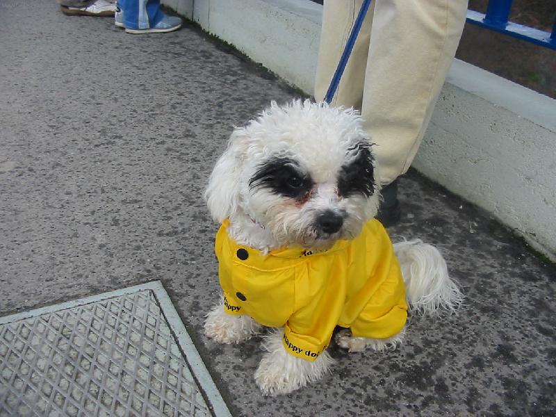 Foto: Denis povodňový turista-Výlet na Slapy-záplavy