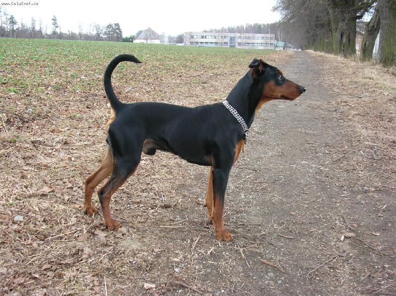 Foto: Rot - cerROT Danilo Škubánek-Rot má svoje stránky, tak je můžete omrknout :). http://rot.blog.cz/