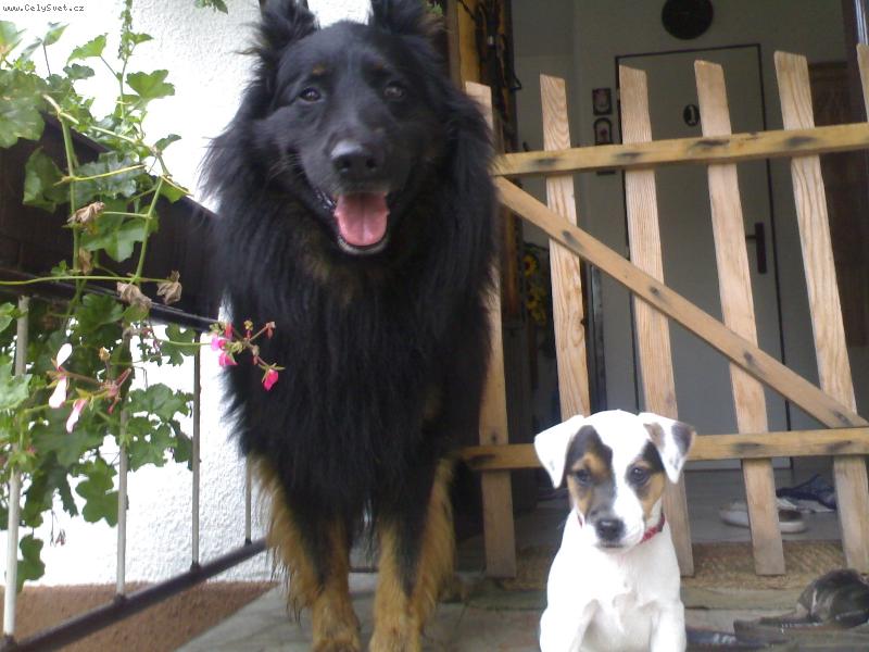 Foto: Fatty HOP TROP-Fatty s kamarádem Čertem