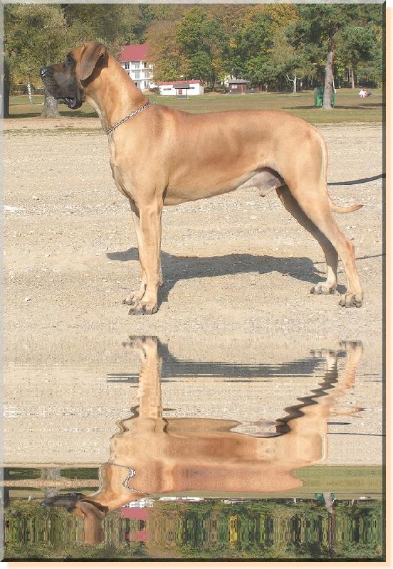 Foto: Dante Rendog-Citušky vnouček