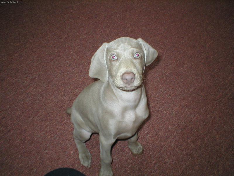 Foto: já chci vééén!!