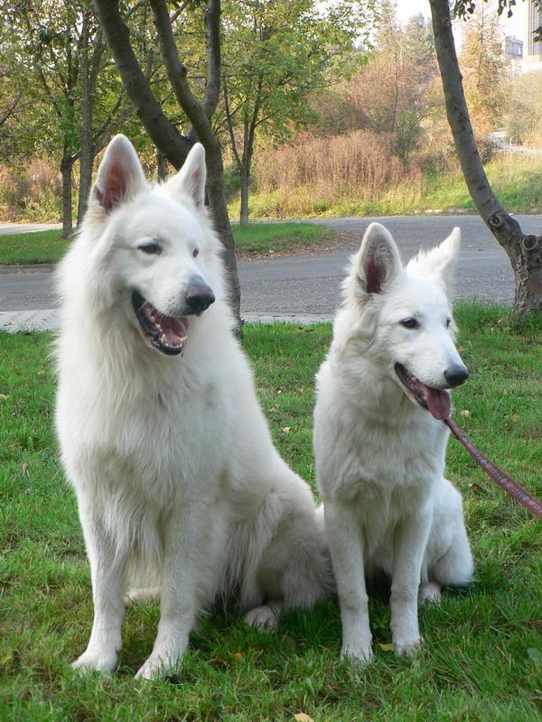 Foto: Chad a Ory-Naši kamarádi