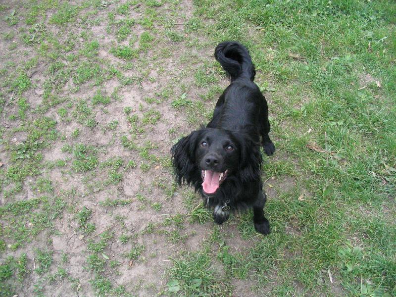 Foto: Jerry-takhle se pořád směje:-)