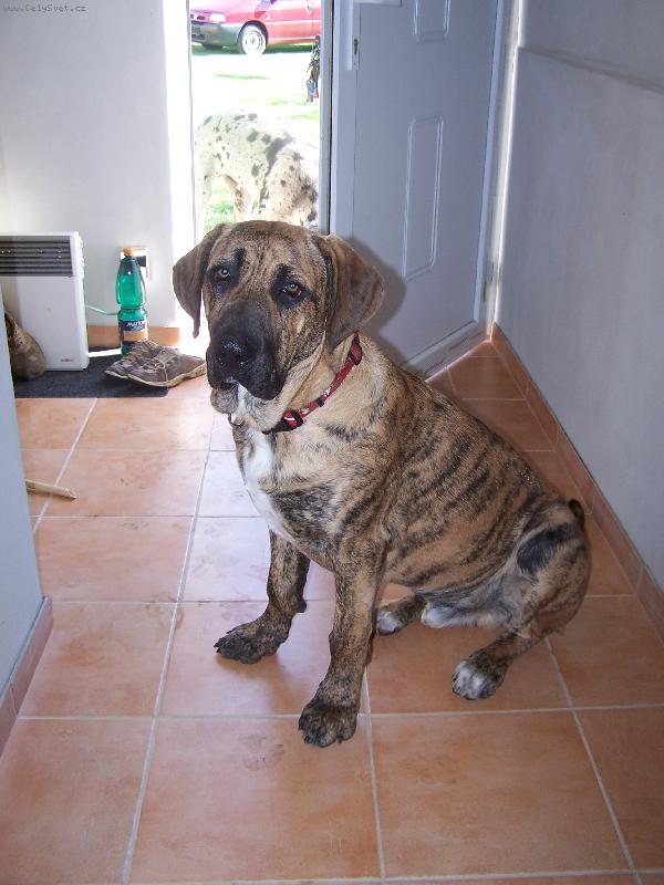 Foto: FIDÍK-Bude mi 7 měsíců