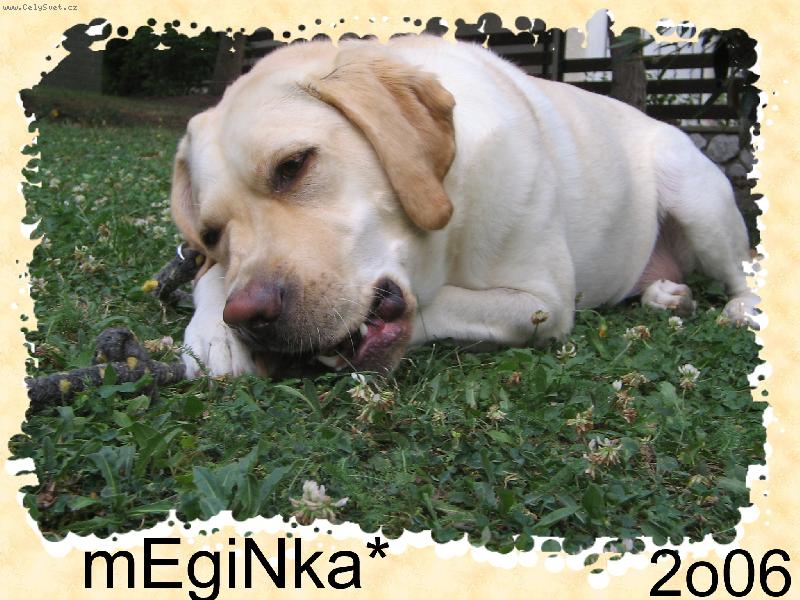 Foto: Megie kostičky miluje...