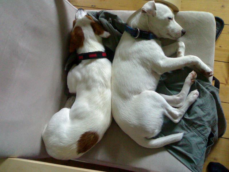 Foto: karlík a eliška