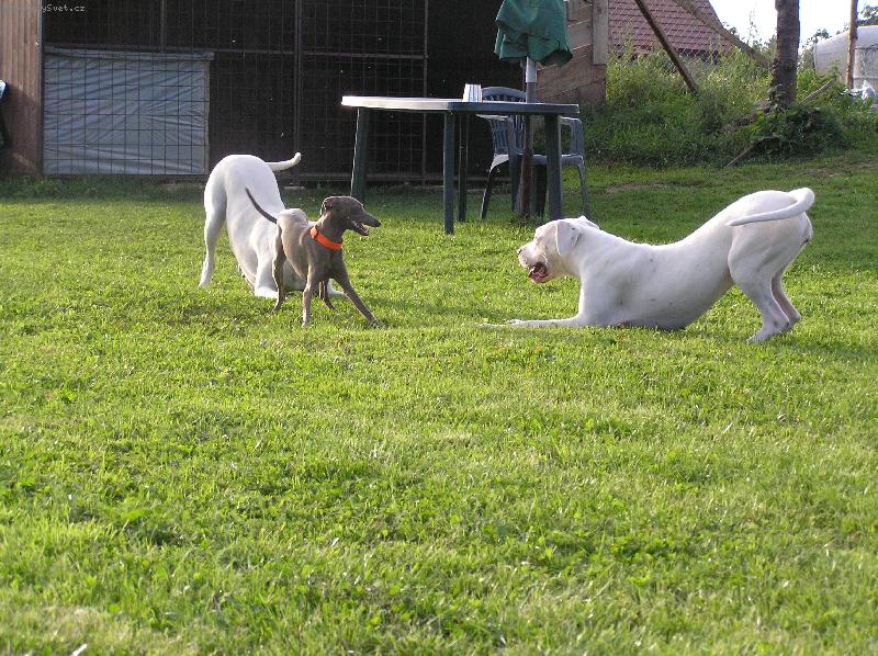 Foto: Arina,Max, JAcinta