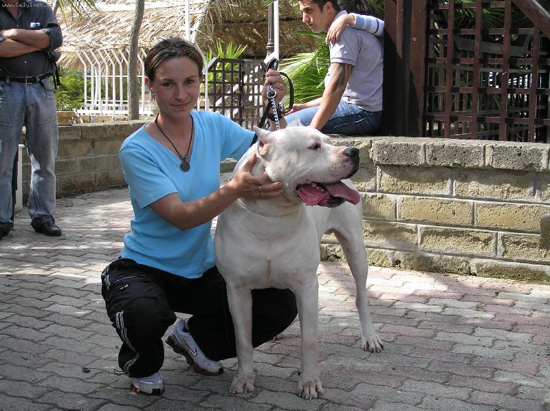 Foto: Bagual dei Falchi Bianchi (v Italii)