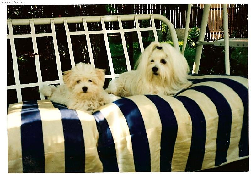 Foto: Letná pohoda-lenoši na pohovke