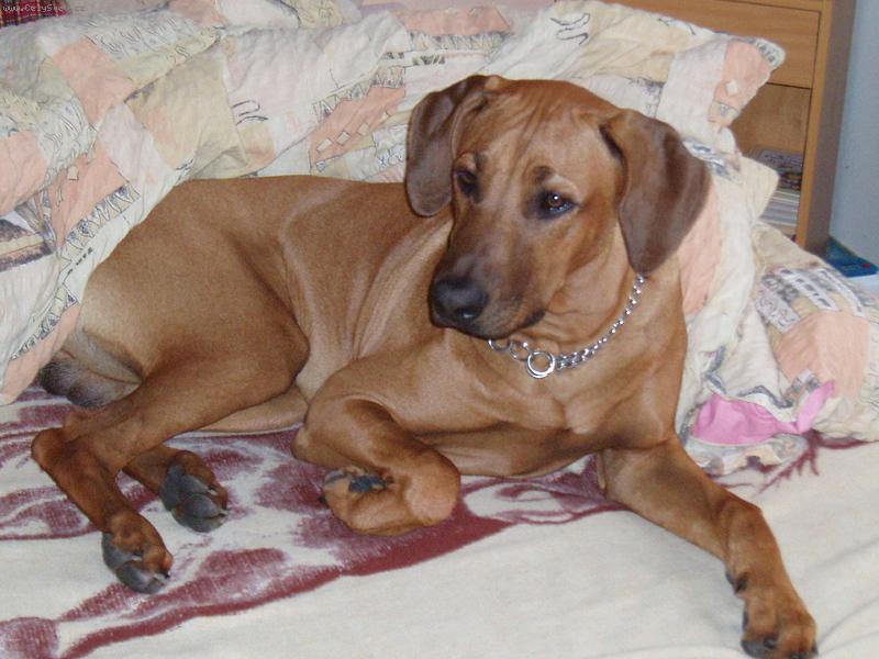 Foto: Odpočinek v postýlce