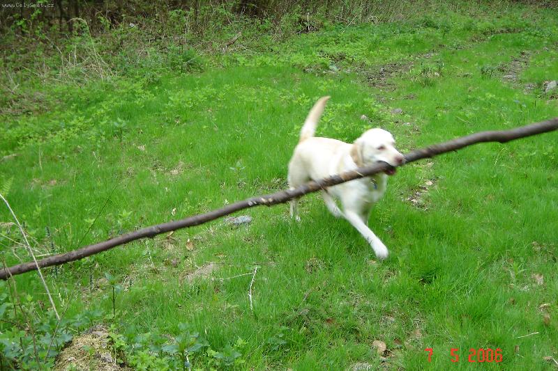 Foto: BUBLINKA-cím větší, tím \"lepší\"