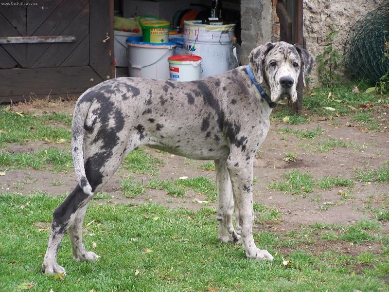 Foto: Dnes je mi 6 měsíců-IGOREK