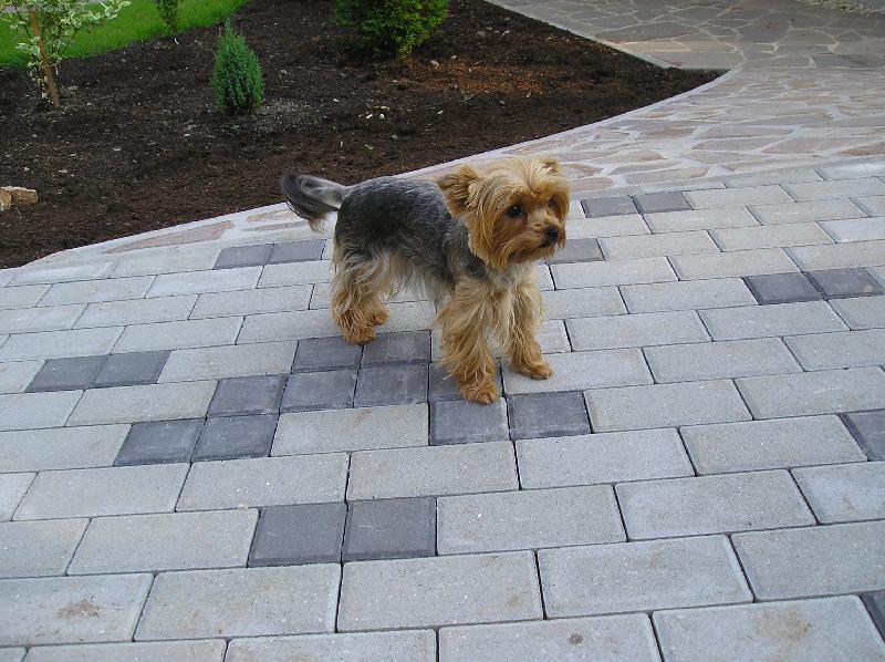 Foto: Besinka-fešanda co :o)