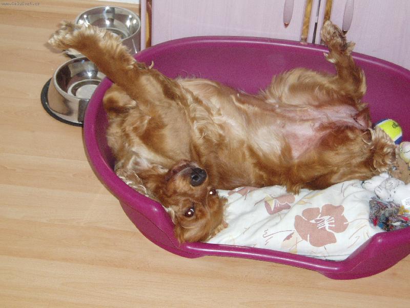 Foto: Vendulka-uuuááááá vidím všechno vzhůru nohama:))