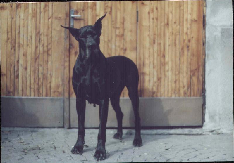 Foto: ICH Aigi Uttis-ICH Aigi Uttis