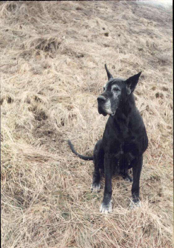 Foto: Aigi Uttis - babča-Aigi - babča